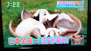 719314c2a908328e6c9af568392e8d9c 300x169 - す・またん！＆ZIP！で放映されました！