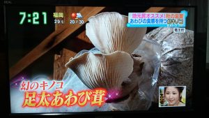a416f56721172b5b88891cb0e98b4f50 300x169 - す・またん！＆ZIP！で放映されました！