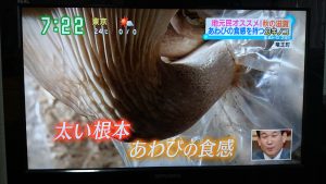 cb2a4ddd290eea263cc86da52b2d1cbe 300x169 - す・またん！＆ZIP！で放映されました！