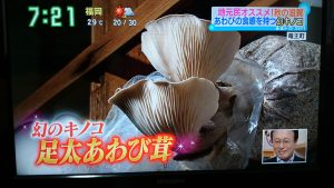 d051281db28325c570909c92c9d98342 300x169 - す・またん！＆ZIP！で放映されました！