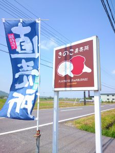 IMG 20180428 110010 225x300 - 今年初収穫！！足太あわび茸の直売を開始しました！