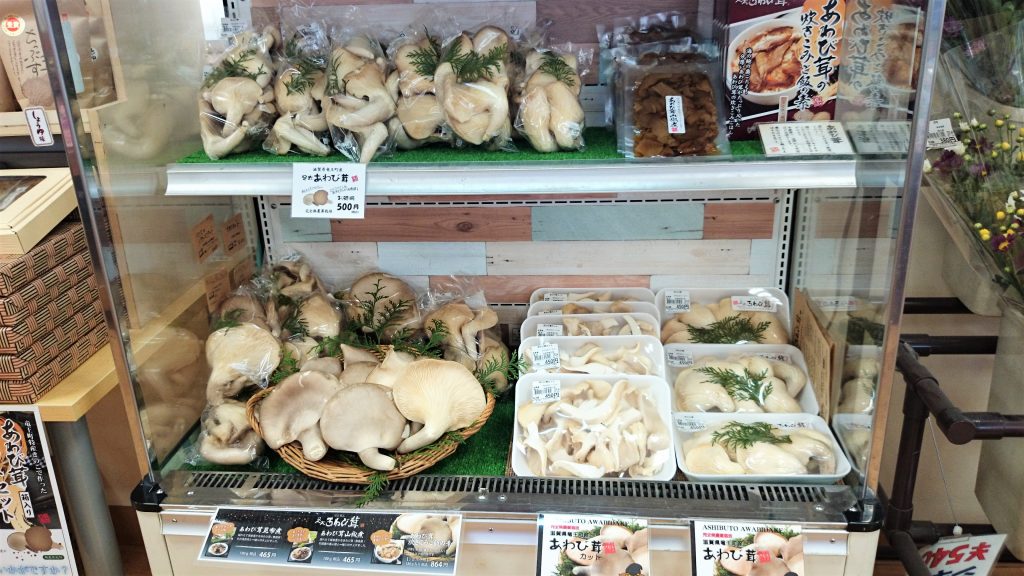 DSC 5864 1024x576 - NHK「あさイチ」で足太あわび茸をご紹介いただきました！！