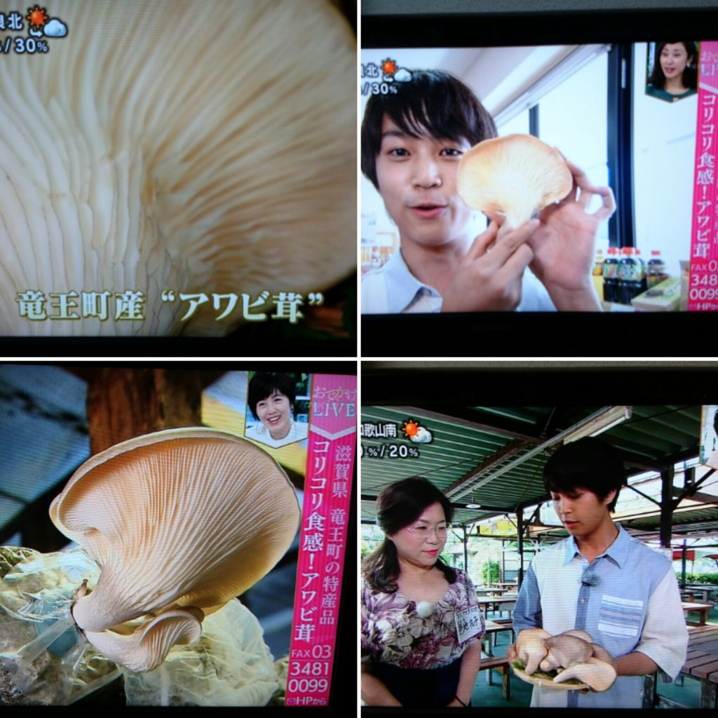 IMG 20180718 144203 1024x1024 - NHK「あさイチ」で足太あわび茸をご紹介いただきました！！