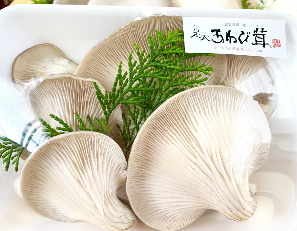 IMG E3620 1024x798 - 足太あわび茸がたくさん採れています！