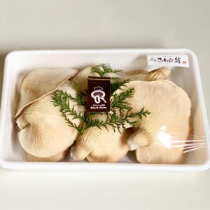 MMRJ64681 300x300 - 竜王足太あわび茸 初収穫！！