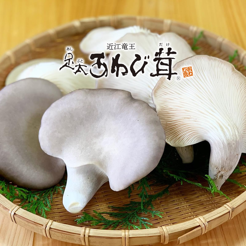 01 - 滋賀県竜王町ふるさと納税返礼品に「足太あわび茸」が登録されています。