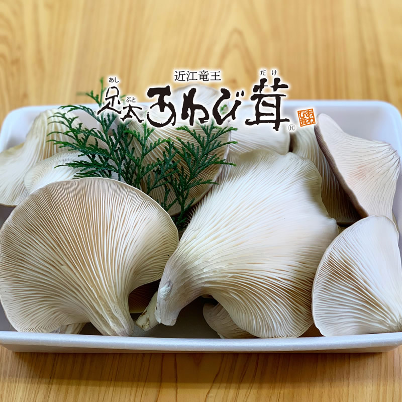 02 - 滋賀県竜王町ふるさと納税返礼品に「足太あわび茸」が登録されています。