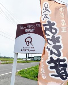 354227776 639889951506627 2629271461336795725 n 240x300 - ６月１６日（金）よりハウスでの直売を再開させていただきます！