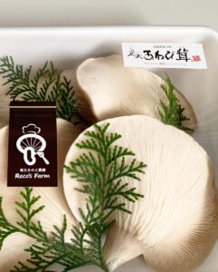 354250931 639890051506617 4654980888528863184 n 241x300 - ６月１６日（金）よりハウスでの直売を再開させていただきます！