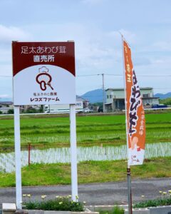 354262052 639889981506624 6679931595971299239 n 240x300 - ６月１６日（金）よりハウスでの直売を再開させていただきます！