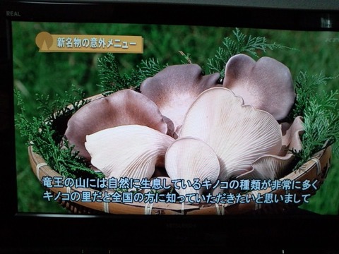 05e899ab s - 関西テレビ　ビジネスカンサイで放映されました！