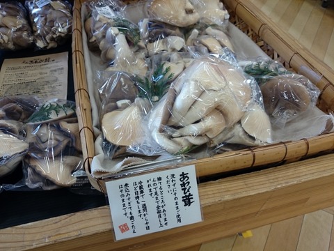 27b97b70 s - 6/6（土）あわび茸の試食販売