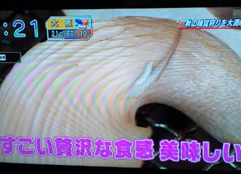 3cad9e04 - 「おはよう朝日です」で紹介されました！