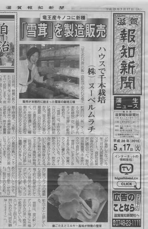 53ffd9d4 s - 滋賀報知新聞に「雪茸」が掲載されました！