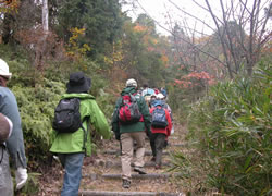 5b508df3 - 雪野山ハイキング