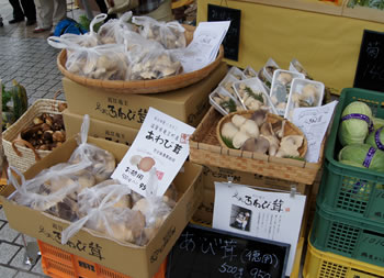 三井アウトレットパーク滋賀竜王で販売! 5df99e63 - 三井アウトレットパーク滋賀竜王で販売!