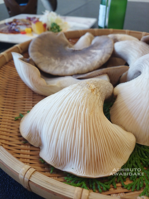 9c28ff9d s - 足太あわび茸が主役！あわび茸創作懐石（魚英さん）