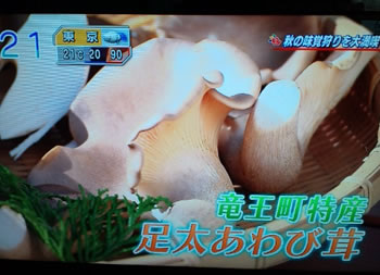 aa2e9364 - 「おはよう朝日です」で紹介されました！