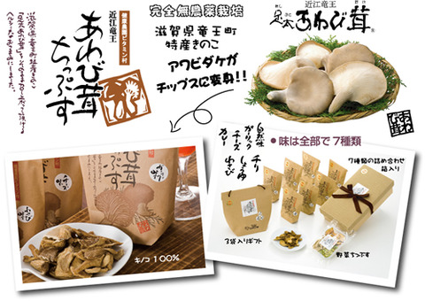 ba829e5a s - あわび茸ちっぷす塩味を道の駅「丹後王国」にて販売いたします！