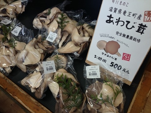 baf8a804 s - 6/6（土）あわび茸の試食販売