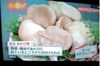 c278d903 - 雨上がり食楽部（関西テレビ）放映