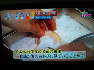 c90615c6 - あわび茸の姿カツ