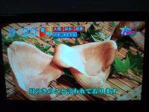 e5a72930 - あわび茸の姿カツ